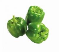 فلفل دلمه ای سبز