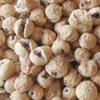 انجیر معمولی