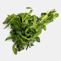 سبزی نعنا پاک شده