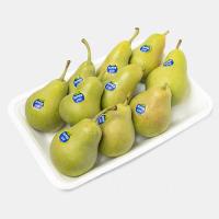 گلابی اسپادانا ممتاز