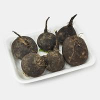 ترب سیاه دزفول