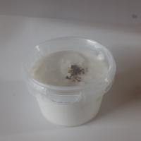 ماست موسیر محلی