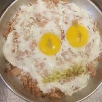 نیمرو تن ماهی