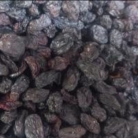 مویز بی هسته درجه 1