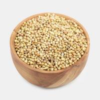 تخم گشنیز اعلاء