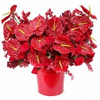 باکس گل یلدا ۳۵