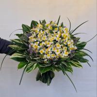 دسته گل نرگس شماره 2