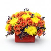 باکس گل فانتزی ۱۶