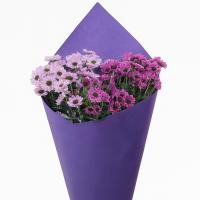 دسته گل کرزنتیا 30