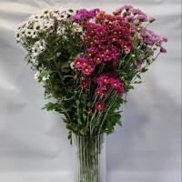 دسته گل کرزنتیا