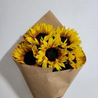 گل آفتابگردان