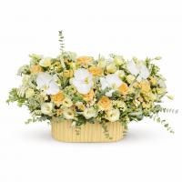 باکس گل تولد مردانه ۳۷