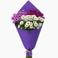 دسته گل کرزنتیا 31