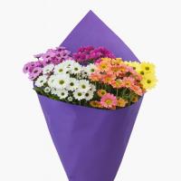 دسته گل کرزنتیا 32