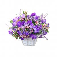 سبدگل تبریک 9