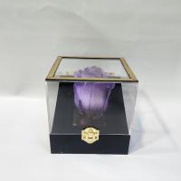 رز جاودان شماره 37