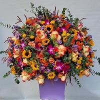 باکس گل هارد شماره 1