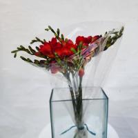 دسته گل فرزیا