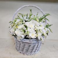 سبدگل بهاره 2