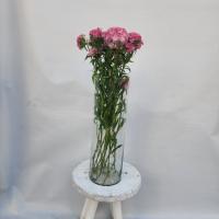 دسته گل قرنفل