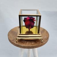 رز جاودان شماره ۱۹