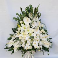 سبدگل یک طرفه شماره ۳