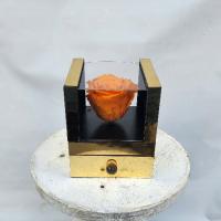 رز جاودان شماره ۲۸