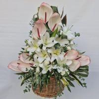 سبدگل یک طرفه شماره 5