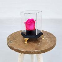 رز جاودان شماره 30