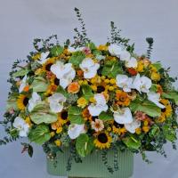 باکس گل شیاری شماره 6