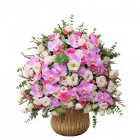 جام گل خواستگاری ۱