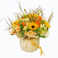 جارگل فانتزی ۲