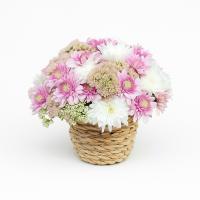 سبدگل فانتزی ۵