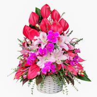 سبدگل رسمی ۶