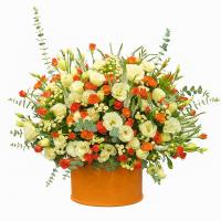 باکس گل تولد ۱۱