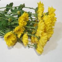 دسته گل داوودی زرد