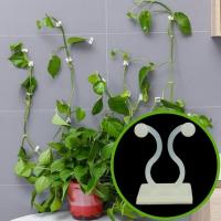 گیره نگهدارنده گیاهان رونده سبز