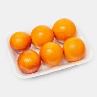 پرتقال تو سرخ شمال ممتاز