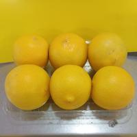 لیمو شیرین بم