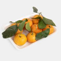 نارنگی برگی