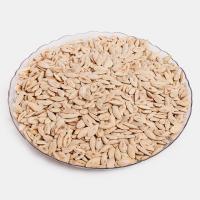 تخمه کدو ریز