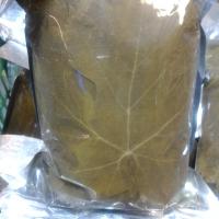 برگ دلمه بسته بندی
