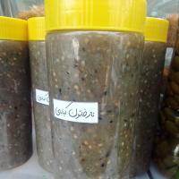 ترشی نازخاتون