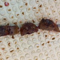 قلوه گوسفندی (یک سیخ)