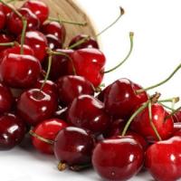 آلبالو گیلاس