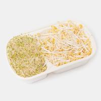 جوانه میکس خانگی