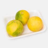 پرتقال جنوب ممتاز