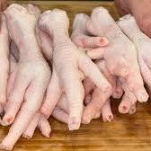 پای مرغ