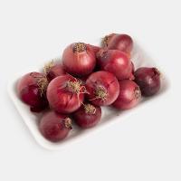 پیاز قرمز بناب