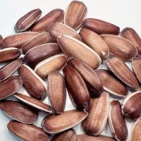 تخمه قرمز درجه یک مخصوص طوطی سانان پت شاپ احسان (یک کیلوگرم)